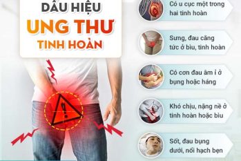 Ung thư tinh hoàn là gì? Dấu hiệu nhận biết sớm và nguy cơ ảnh hưởng