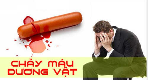 Dương vật chảy máu, đau rát là do đâu, có nguy hiểm không? 