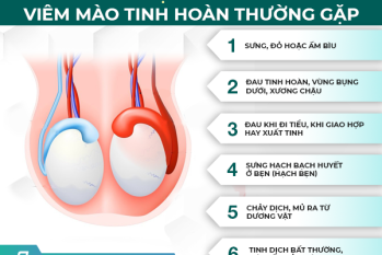Viêm mào tinh hoàn là gì? Dấu hiệu, nguyên nhân và cách hỗ trợ điều trị hiệu quả