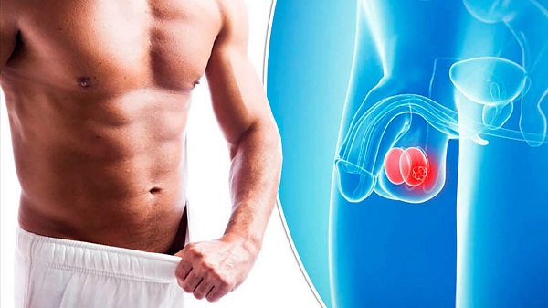 Cảnh báo dấu hiệu sa tinh hoàn – Đừng chủ quan với dấu hiệu nhỏ