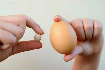 Teo tinh hoàn là gì? Dấu hiệu nhận biết và mức độ nguy hiểm bạn cần biết