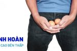 Tinh hoàn bên cao bên thấp có sao không, có bị vô sinh không?