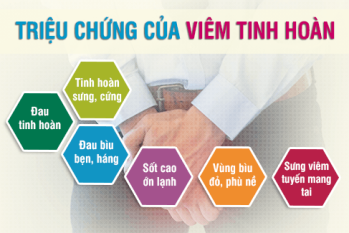 Viêm tinh hoàn là gì? Triệu chứng, nguyên nhân, cách xử lý hiệu quả từ chuyên gia
