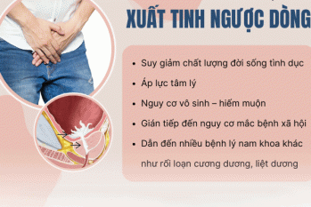 Xuất tinh ngược – Hiện tượng cảnh báo suy giảm khả năng sinh sản ở nam