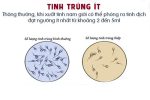 Cách nhận biết và khắc phục tình trạng tinh dịch ít ở nam giới