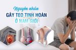 Tìm hiểu nguyên nhân teo tinh hoàn và cách khắc phục